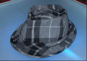 Cool hat